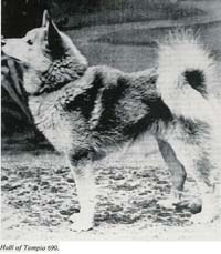 Hall of Tampio SKK690