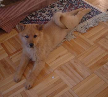 25th of February -04