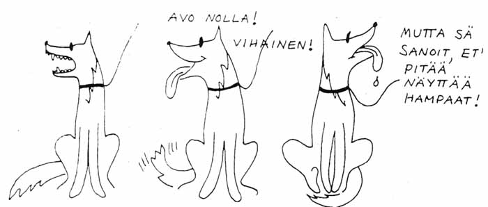 N�in voi k�yd�, jos opettaa koiransa itsen�isesti n�ytt�m��n hampaansa ulkomuototuomarille.