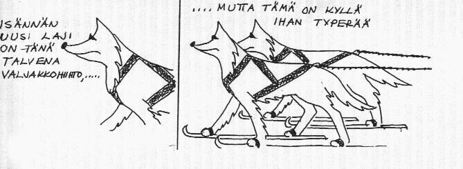 Niinp�, valjakkohiihdossa vain ihminen hiit��...