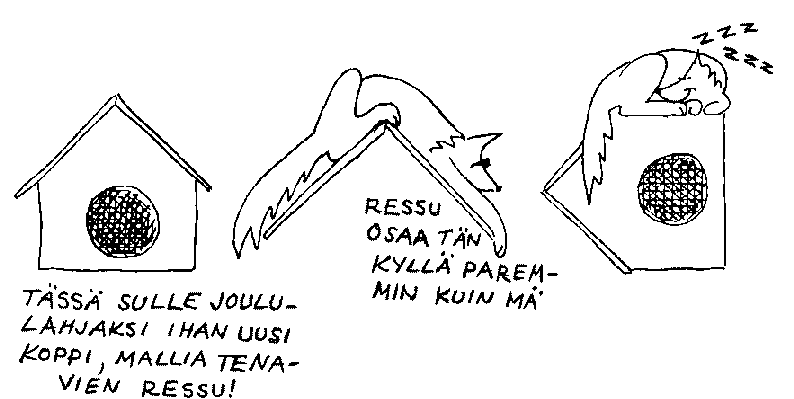 Ressulla on taito maata jyrkk�kattoisen kopin katolla. Se ei ihan kaikilta onnistu