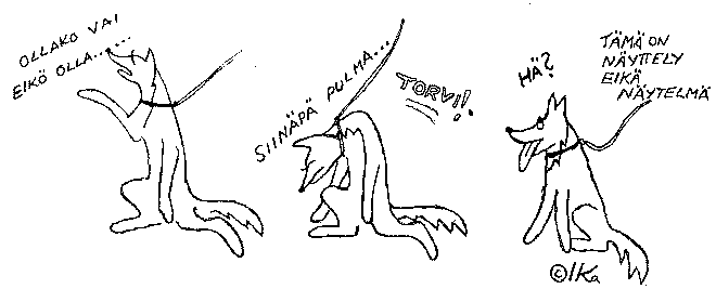 Koiran�yttely on useinkin suuri n�ytelm�, jossa huonot n�yttelij�t poistuvat vaivihkaa takavasempaan.