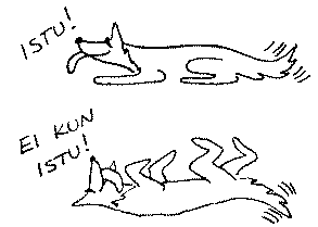 Tottelevaisuustaito on usein siperianhuskylla hukassa, mutta...