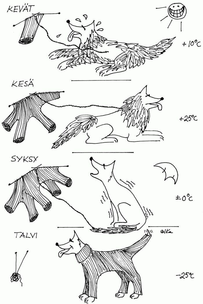 Oletko muistanut, ett� huskyn karvoista saa kehr�tty� l�mmint� lankaa?