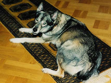 Odottavan aika on pitk�