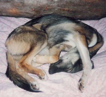 Nuoret nukkuvat miss� asennossa sattuvat olemaan