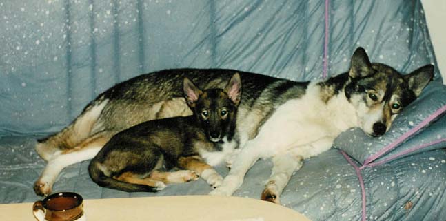 Kajsa ja mummunsa Saman's Nami