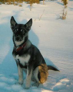 Muju er�retkell� mukana 1988 huhtikuussa