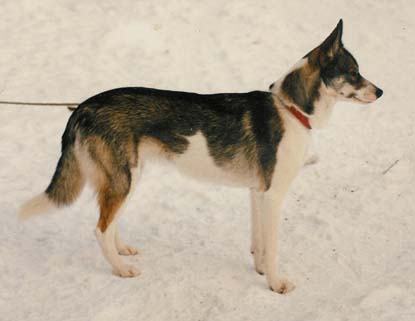 Nami V�sterhankmossa