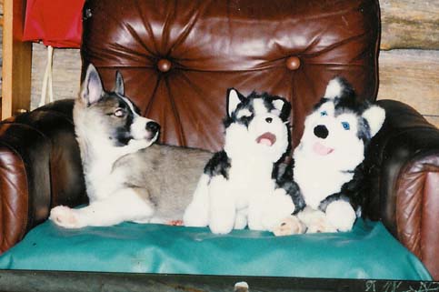 Ei kai minusta tule noiden n�k�inen?