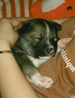 Pikkuvauva syliss�