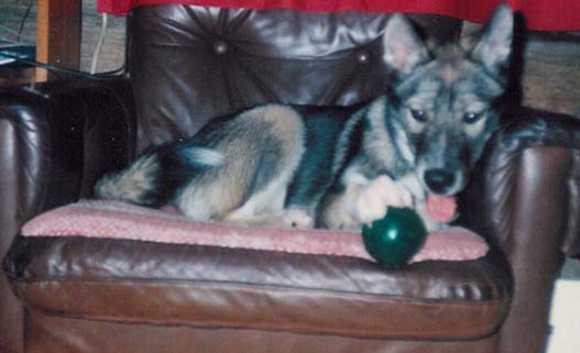 Pesupallo on ollut monen pennun lelu, sill� siin� on reik�