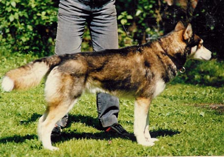 Juksu kev��ll� 1986